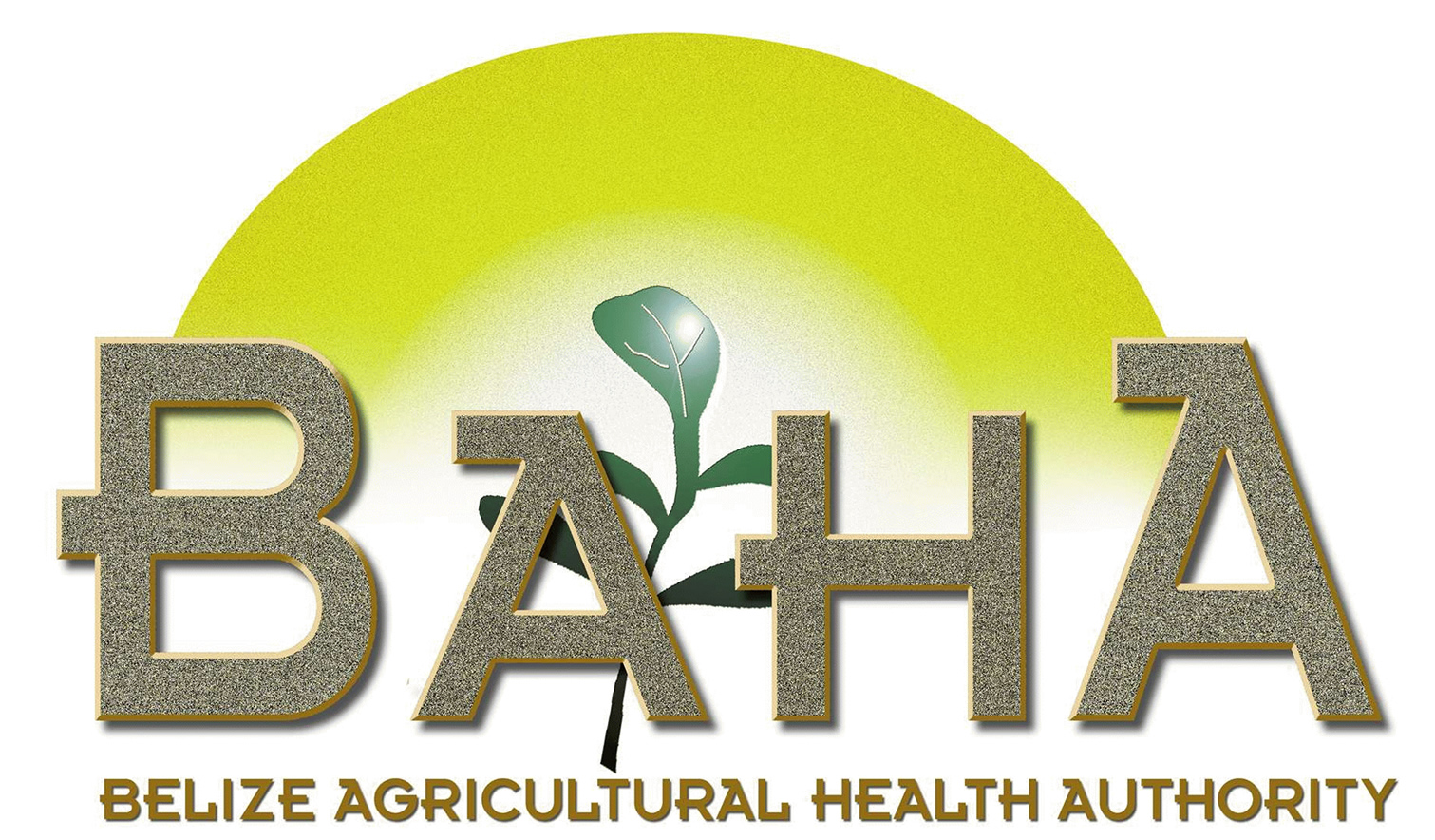Belize Agricultural Health Authority