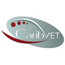 caribvet